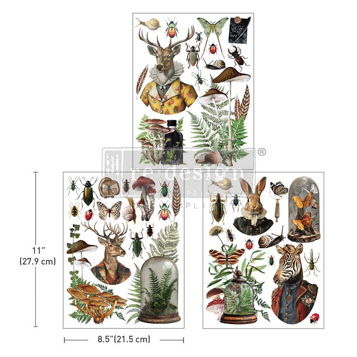 Ephemera Enclave - Middy Decor Transfers® Rub on Transfers for Furniture, Redesign with Prima Decor Transfer, Furniture Transfer