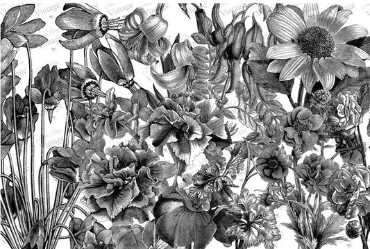 Black and White Floral