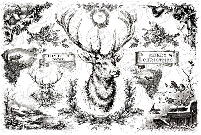 Christmas Stag