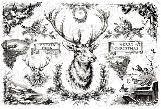 Christmas Stag