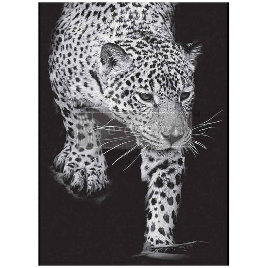 Feline Gaze A1 Decoupage Fiber Paper featuring a dramatic black-and-white leopard on a dark background.