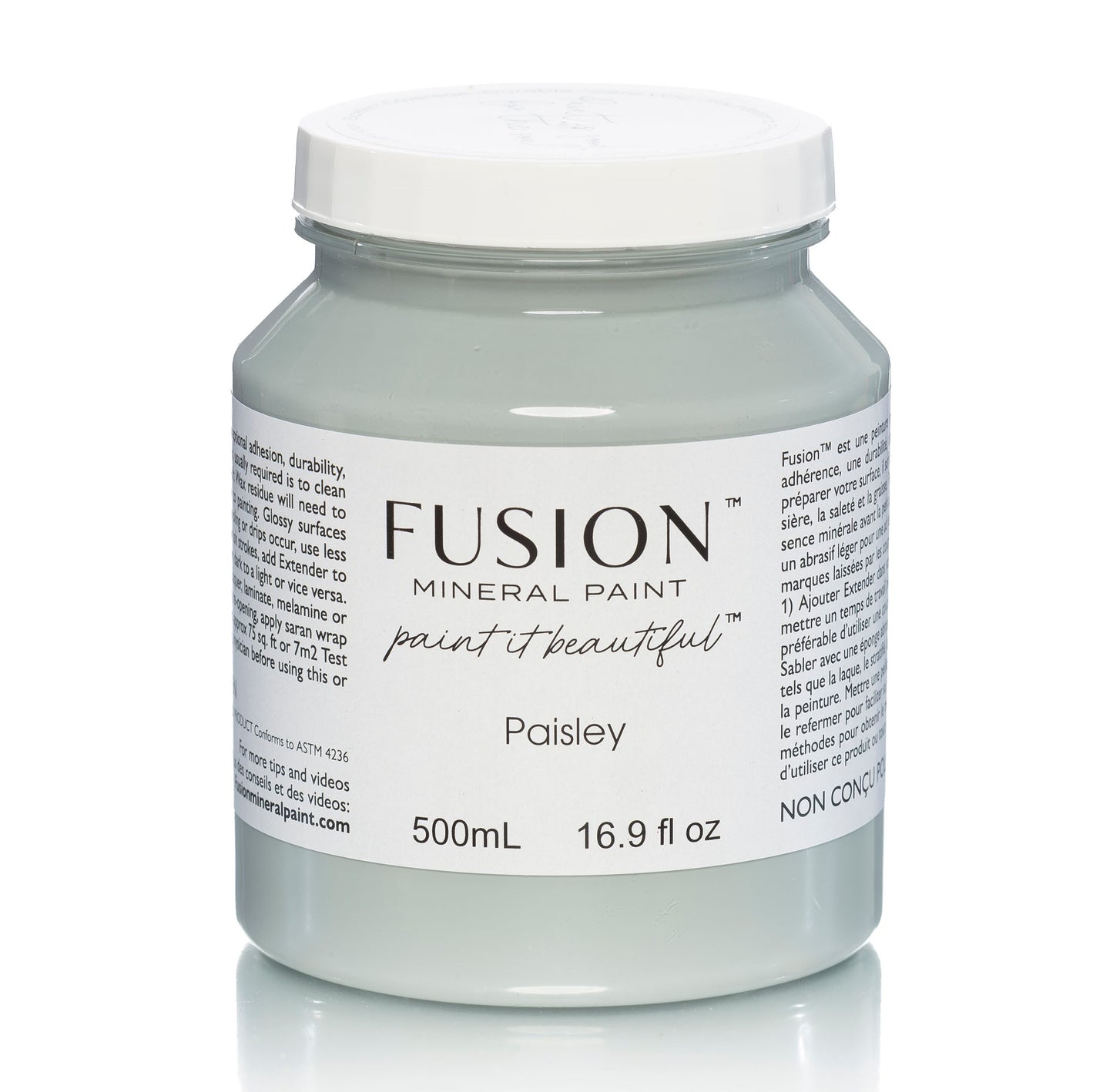 Fusion Paint - Paisley