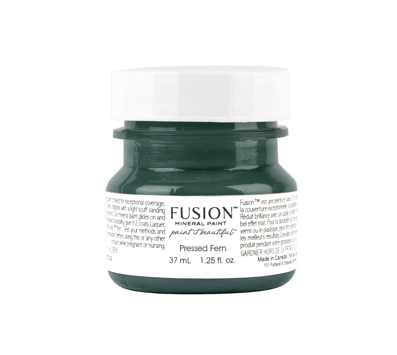 Fusion Paint - Pressed Fern